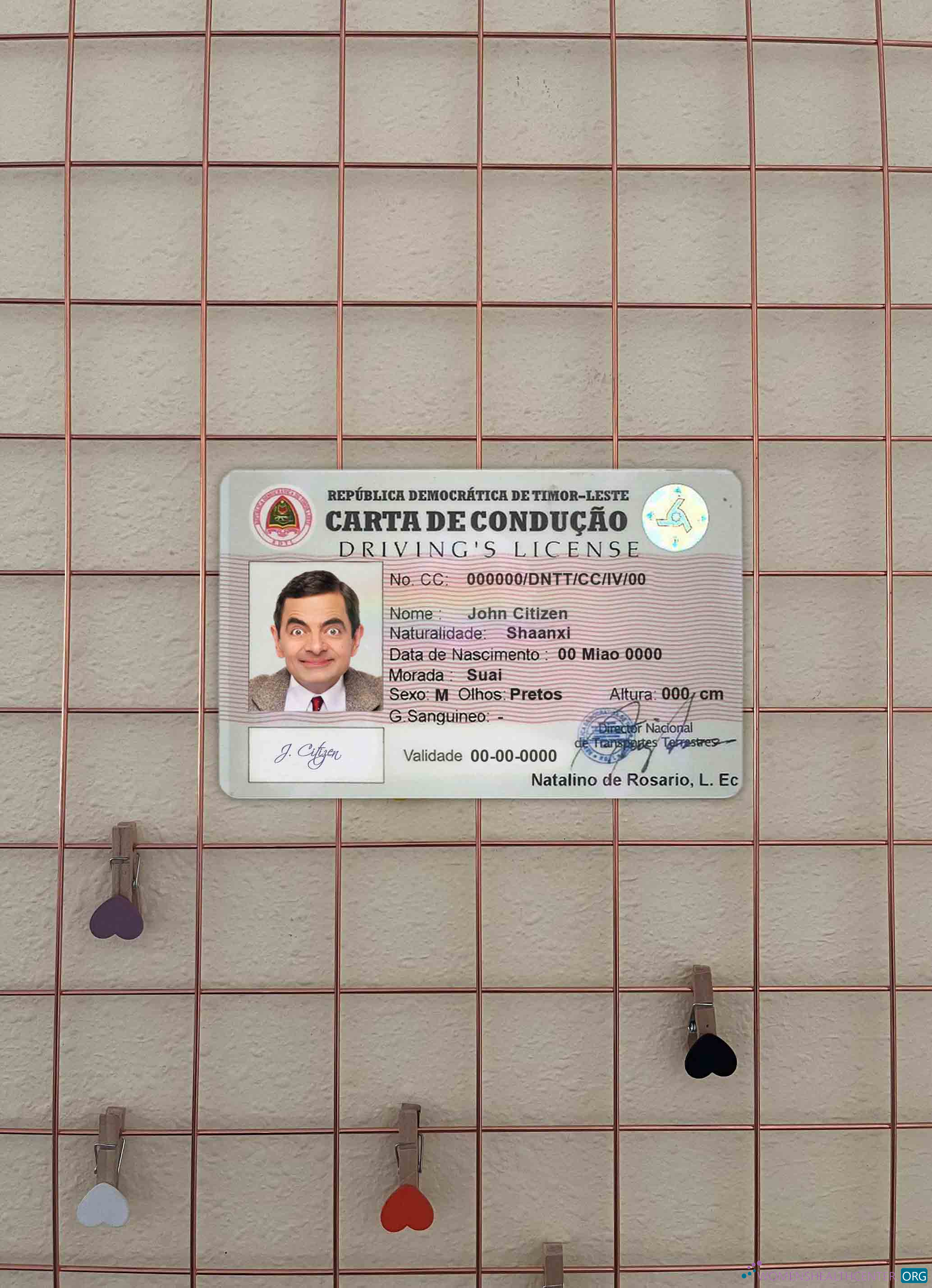 Download Timor Leste DL photolook FRONT Photoshop template